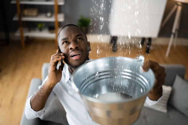 Best 24-hour water damage restoration  in Alpine, NJ