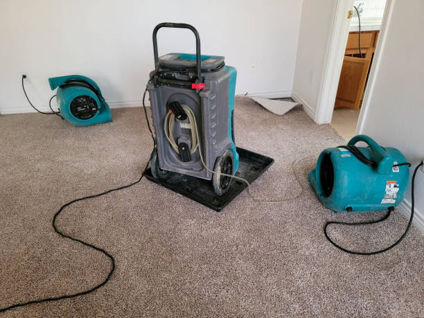 Best Water damage restoration insurance claims  in Alpine, NJ