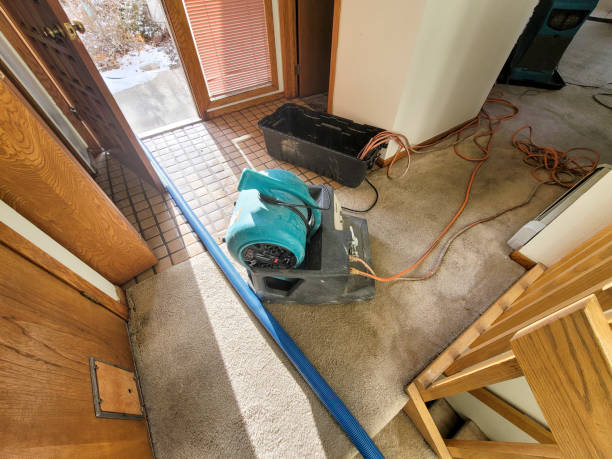  Alpine, NJ Water damage restoration Pros