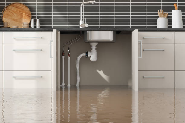 Best Flooded house restoration  in Alpine, NJ