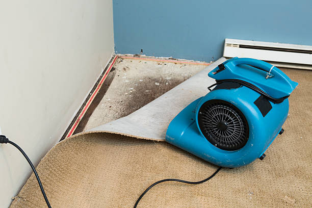 Best Flooded house restoration  in Alpine, NJ